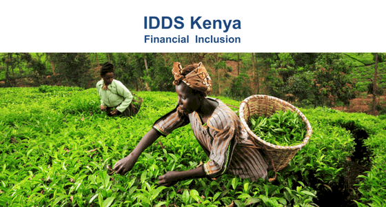International Development Design Summits