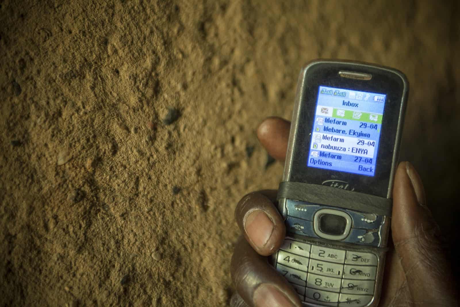 Small Scale agriculture