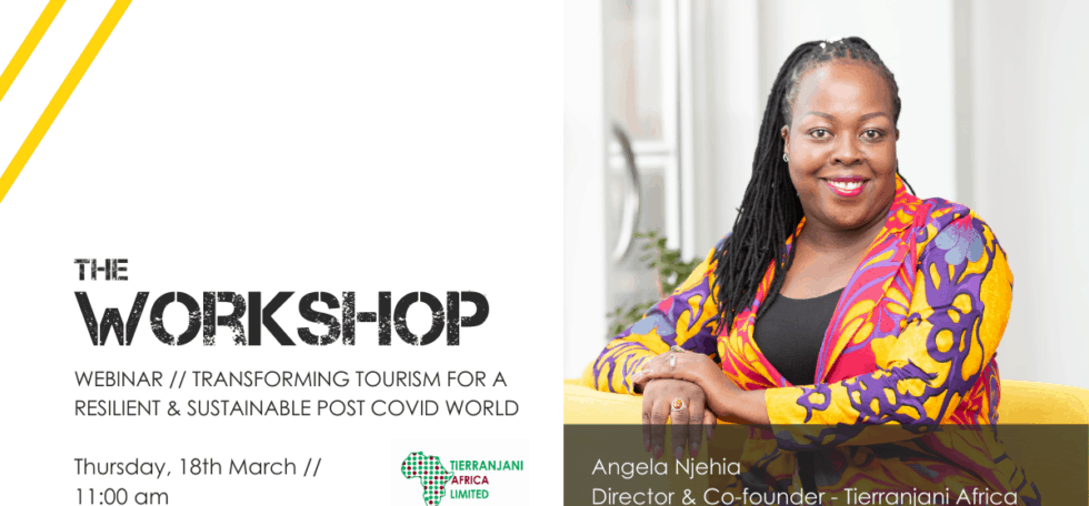 Transform Tourism // Building Resilience Post-Pandemic