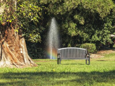 GardenBenchSunnyDay GardenBenchSunnyDay