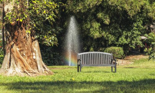 GardenBenchSunnyDay GardenBenchSunnyDay